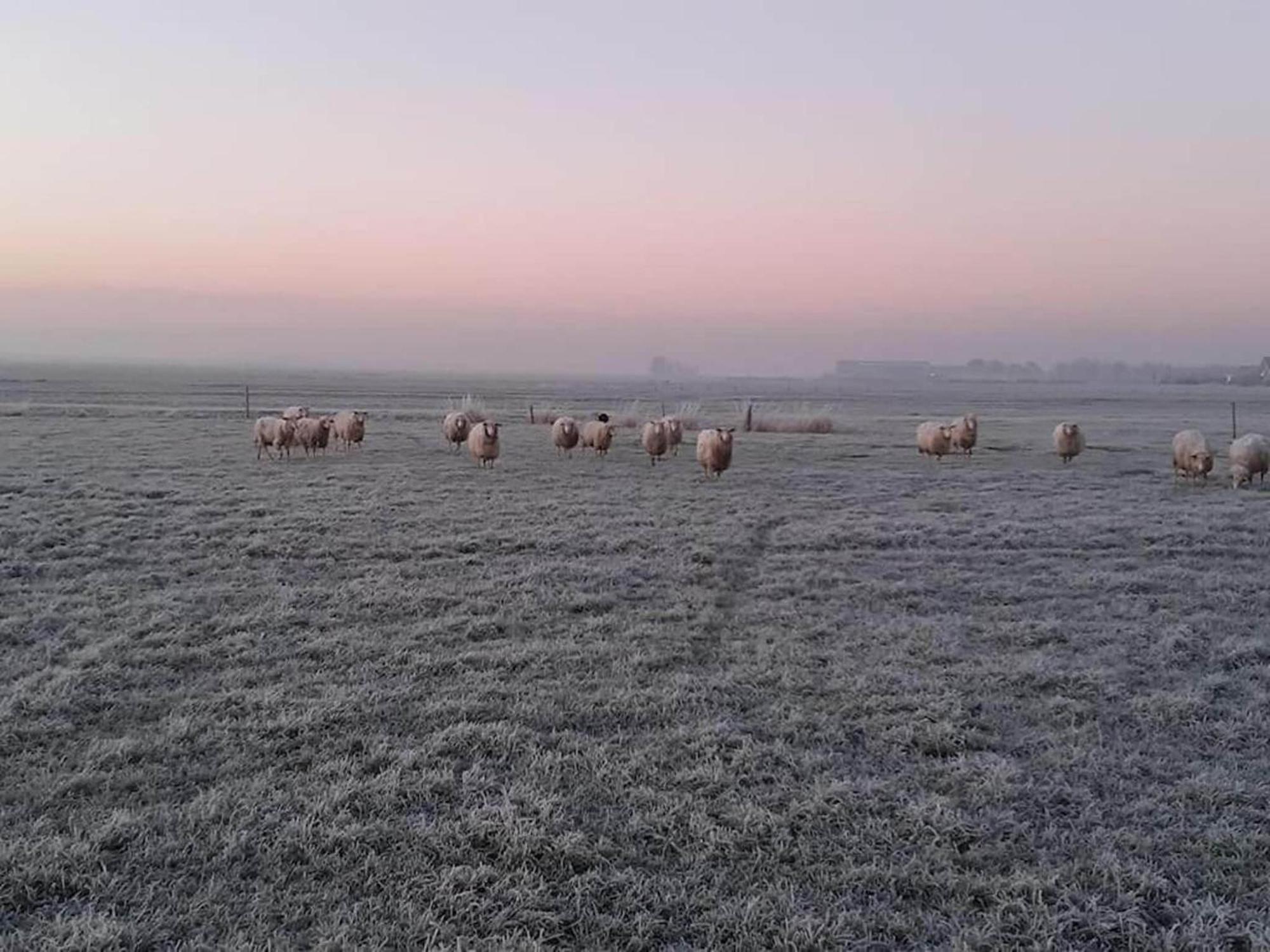Grutto Villa Tjerkgaast Buitenkant foto